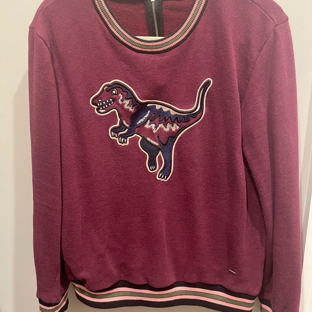 Coach dinosaur sweatshirt